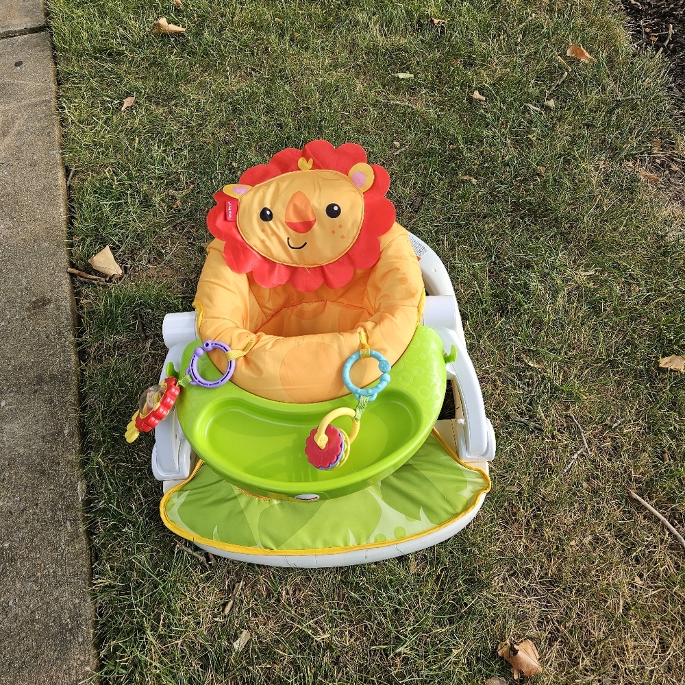 Fisher Price Infant Lounge Chair